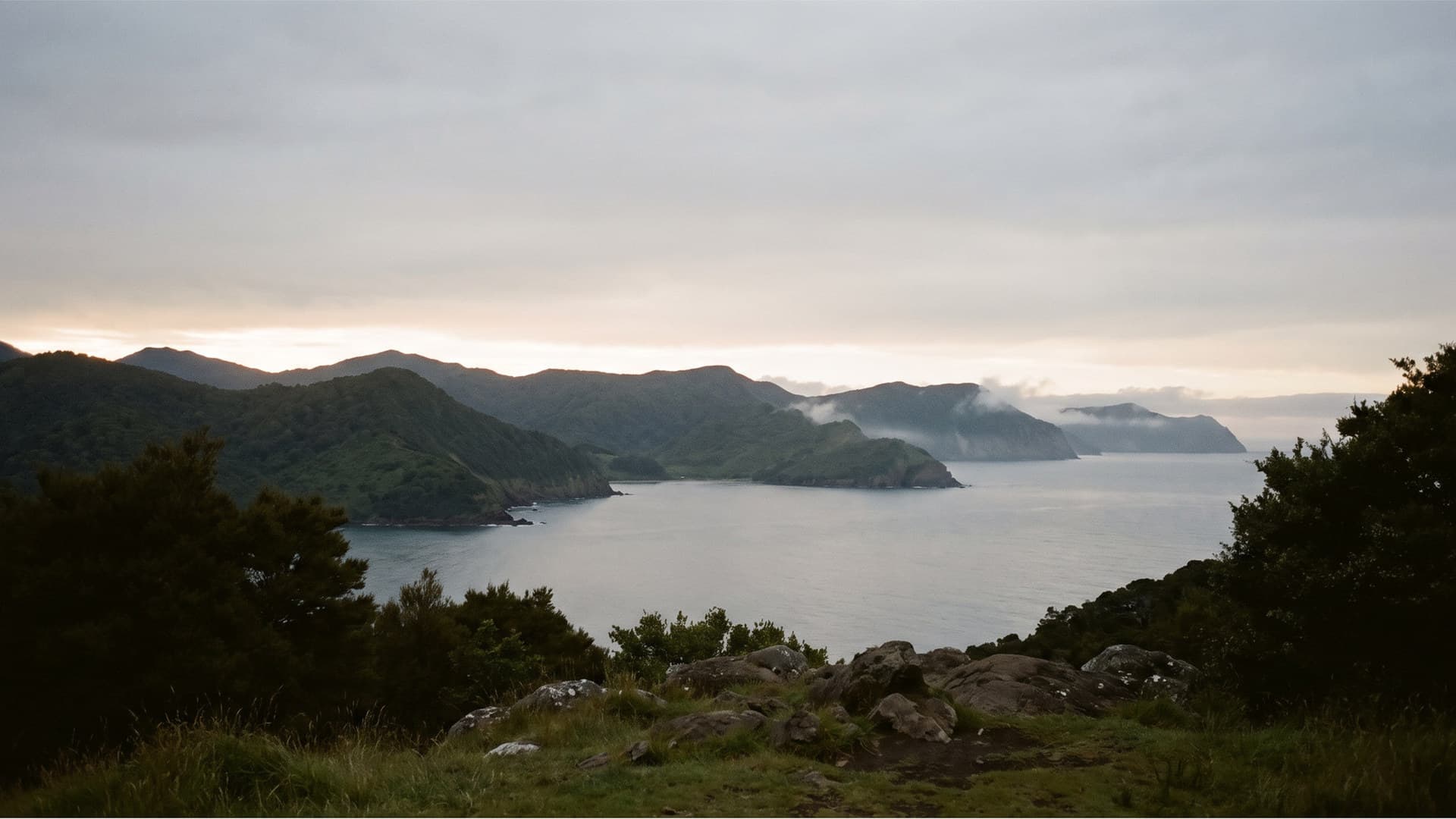 A calm bay at dusk seen from a low headland, with forested slopes falling to still water.
