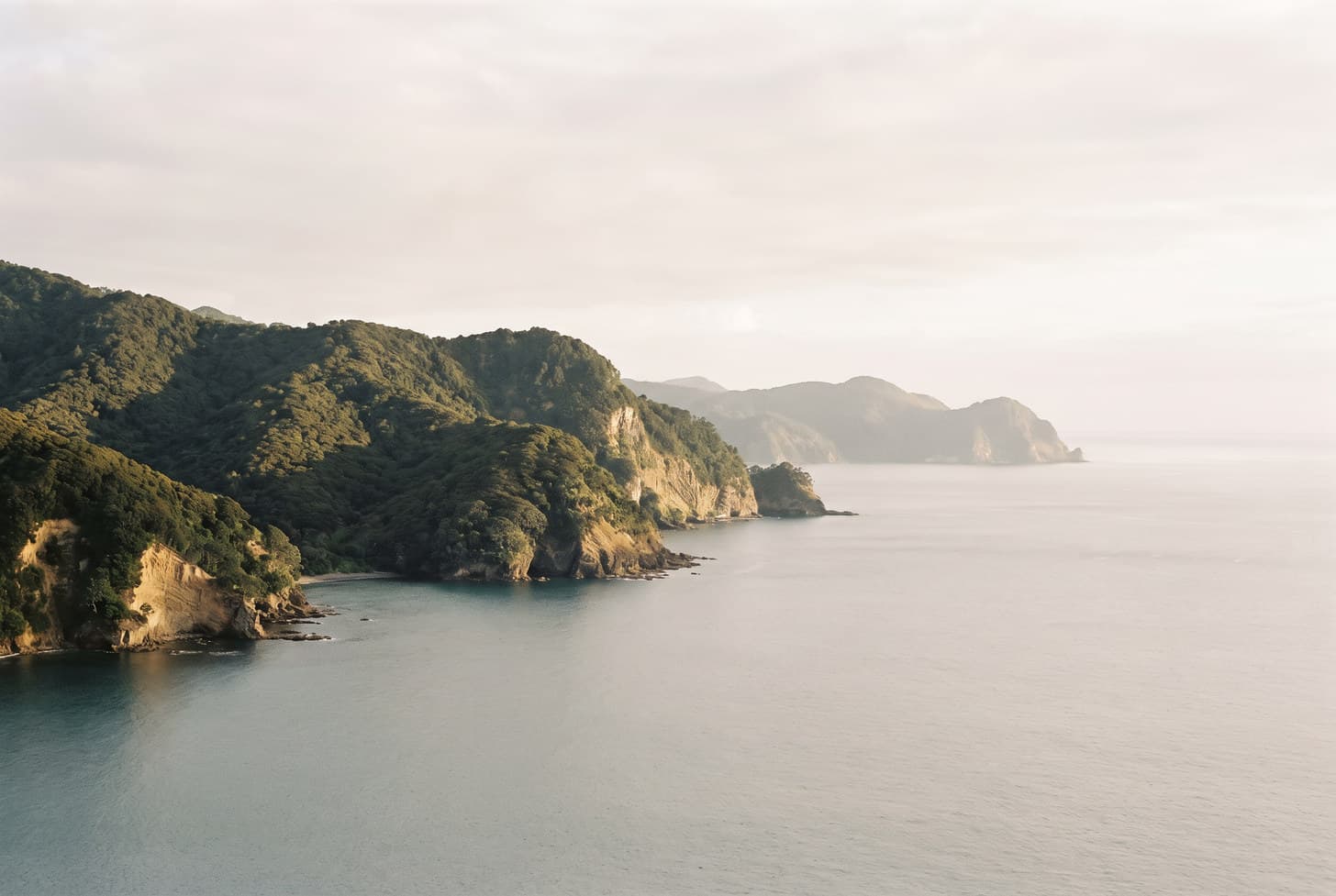 A green volcanic coastline meeting calm water in late afternoon light.